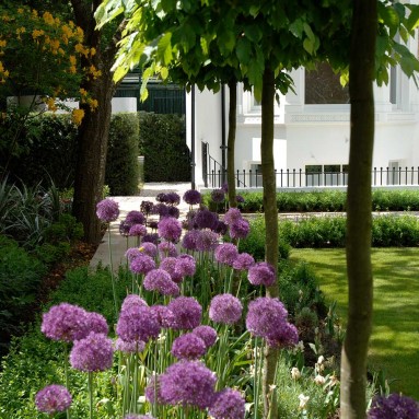 garden14 page image